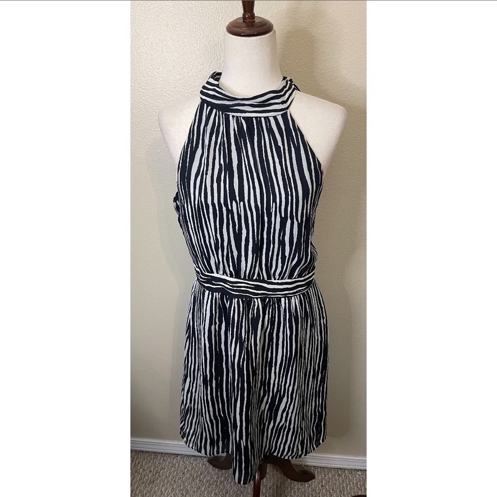 NWT Banana Republic Black & White Dress Size 10P